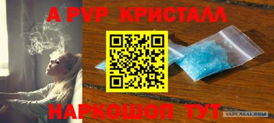 apvp Гудермес